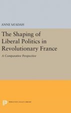 Shaping of Liberal Politics in Revolutionary France