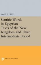 Semitic Words in Egyptian Texts of the New Kingdom and Third Intermediate Period