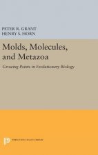 Molds, Molecules, and Metazoa