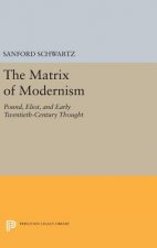 Matrix of Modernism