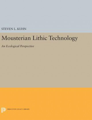 Mousterian Lithic Technology