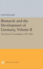 Bismarck and the Development of Germany, Volume II