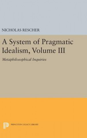 System of Pragmatic Idealism