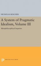 System of Pragmatic Idealism