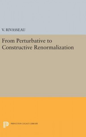 From Perturbative to Constructive Renormalization