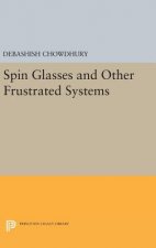 Spin Glasses and Other Frustrated Systems