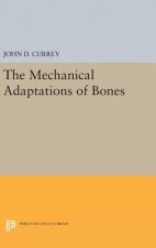 Mechanical Adaptations of Bones