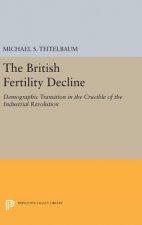 British Fertility Decline