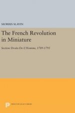 French Revolution in Miniature