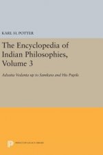 Encyclopedia of Indian Philosophies, Volume 3