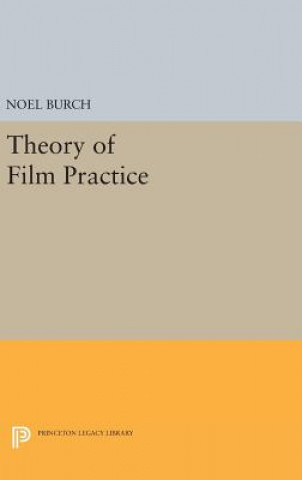 Theory of Film Practice