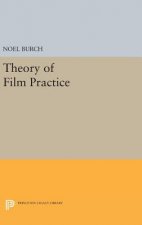 Theory of Film Practice