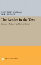 Reader in the Text