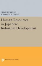 Human Resources in Japanese Industrial Development