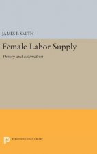 Female Labor Supply
