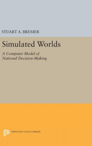 Simulated Worlds