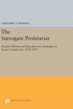 Surrogate Proletariat