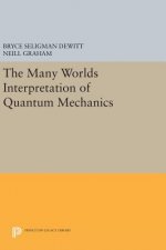 Many-Worlds Interpretation of Quantum Mechanics