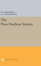 Pion-Nucleon System