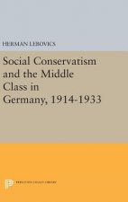 Social Conservatism and the Middle Class in Germany, 1914-1933