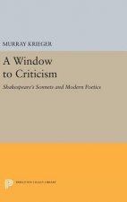 Window to Criticism