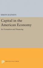 Capital in the American Economy