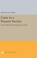 Caste in a Peasant Society