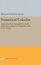 Numerical Calculus