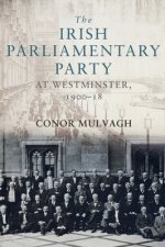 Irish Parliamentary Party at Westminster, 1900-18