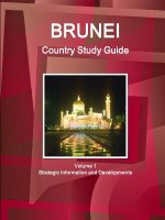 Brunei Country Study Guide Volume 1 Strategic Information and Developments