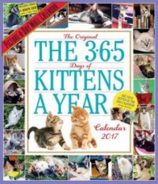 365 Kittens-A-Year Wall Calendar 2017