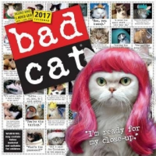 Bad Cat Wall Calendar 2017