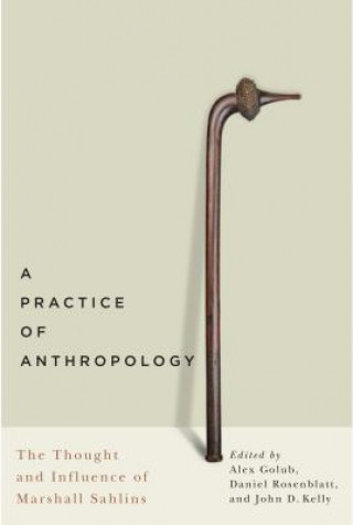 Practice of Anthropology (Alex Golub,Daniel Rosenblatt,John D. Kelly)(Brožovaná)