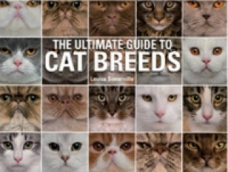 Ultimate Guide To Cat Breeds