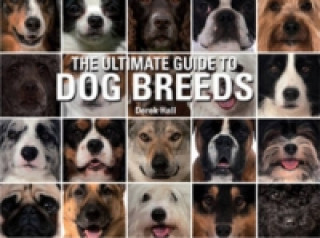 Ultimate Guide To Dog Breeds