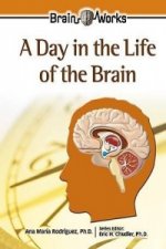 Day in the Life of the Brain
