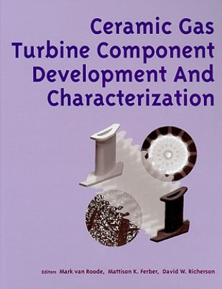 CERAMIC GAS TURBINE COMPONENT DEV AND CHARATERIZATION: PROGRESS IN CERAMIC GAS TURBINE DEVELOPMENT: (801977)