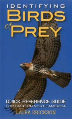 Identifying Birds of Prey