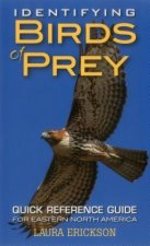 Identifying Birds of Prey