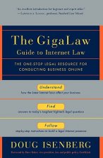 GigaLaw Guide to Internet Law