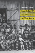 Race, Labor and Punishment in the New South