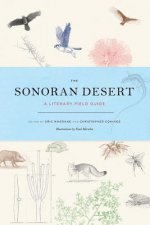 Sonoran Desert