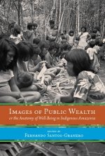 Images of Public Wealth or the Anatomy of Well-Being in Indigenous Amazonia