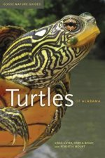 Turtles of Alabama