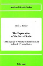 Exploration of the Secret Smile
