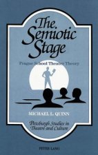 Semiotic Stage