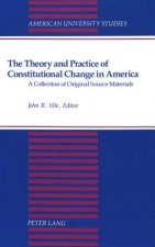 Theory and Practice of Constitutional Change in America