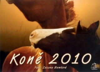 Kalendář 2010 - Koně - nástěnný