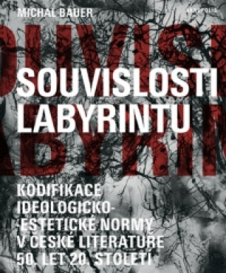 Souvislosti labyrintu