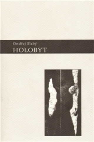 Holobyt